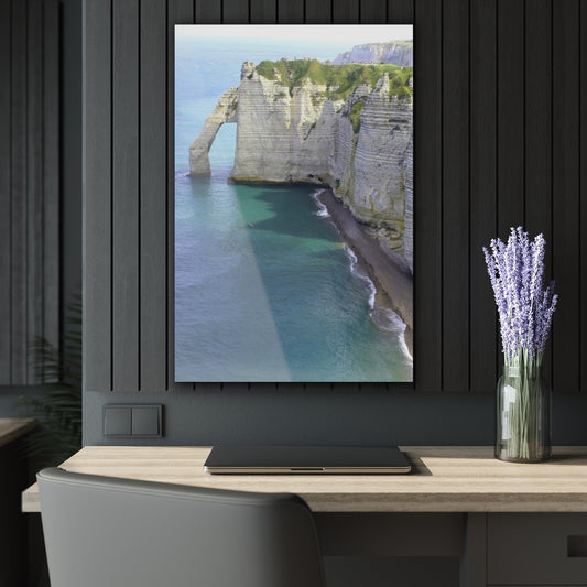 Jump Spot Premium Acrylic Wall Art