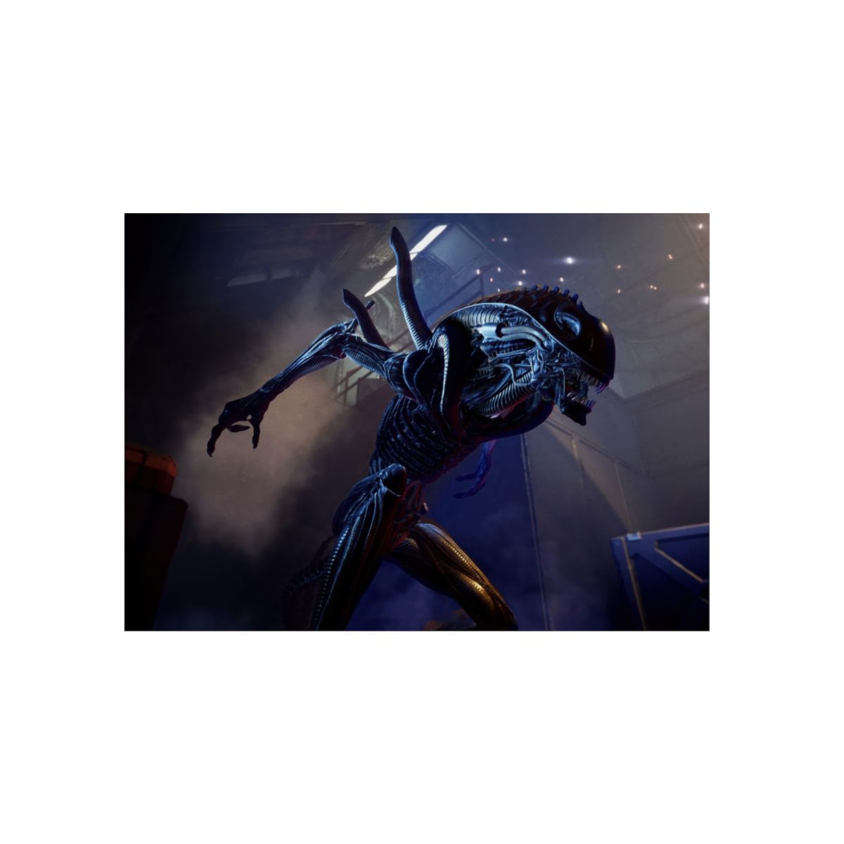 Alien 4K Aluminium Composite Wall Art