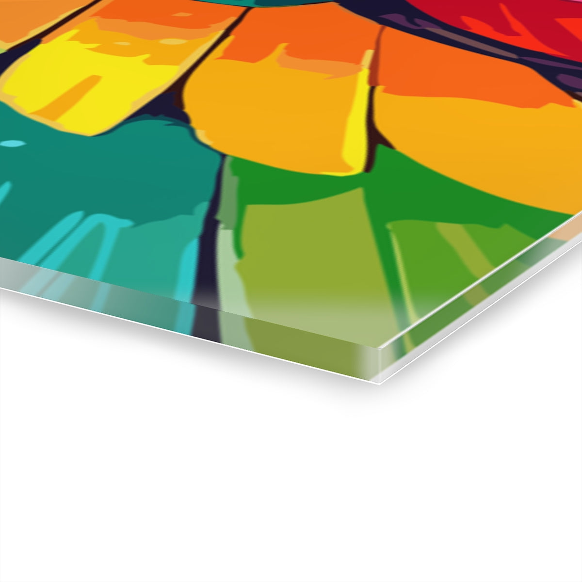 Raibow Bird Acrylic Premium Wall Art