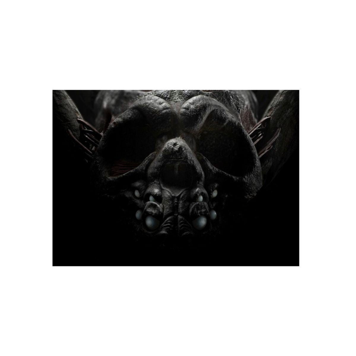 Skull 4K Aluminium Composite Wall Art