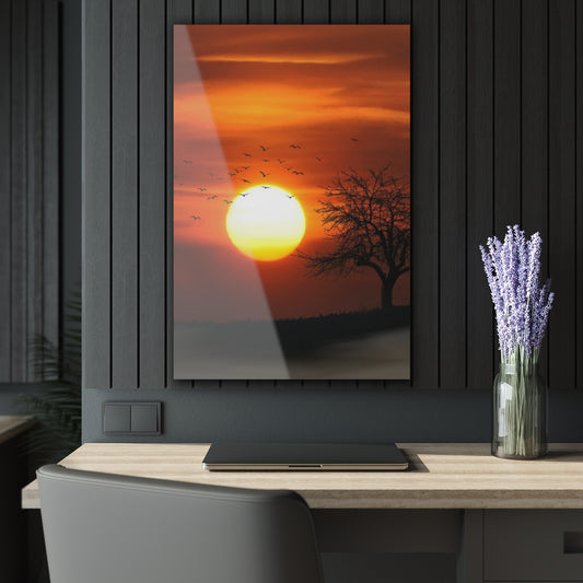 Sun Is Shining Premium Acrylic Wall Art