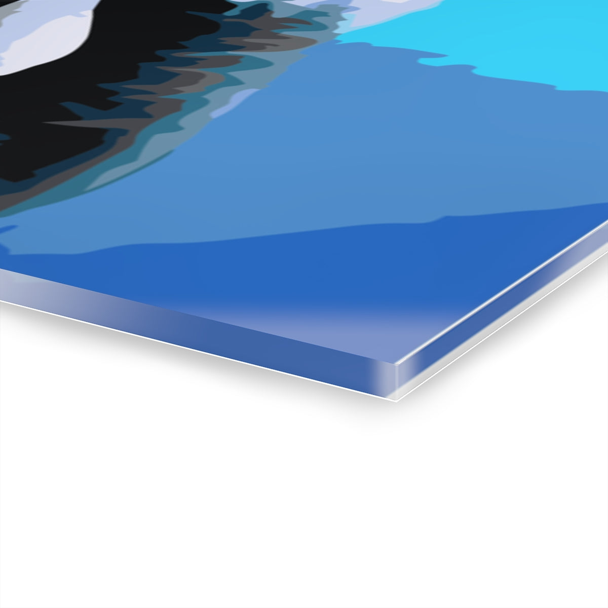 Black Whale Premium Acrylic Wall Art