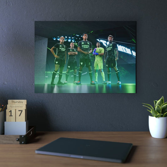 FC 25 4K Aluminium Composite Wall Art