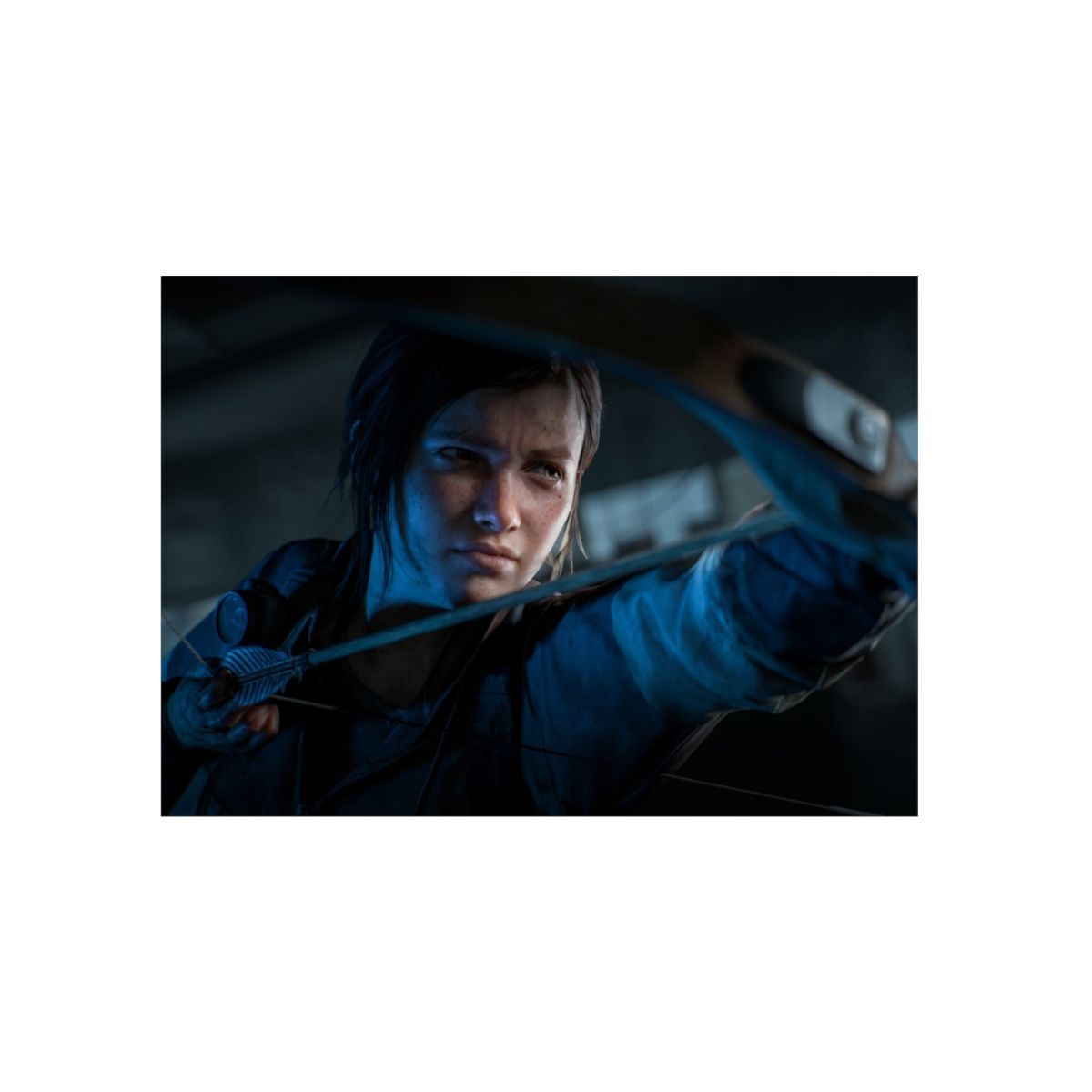 Last Of Us Aluminium Composite Wall Art