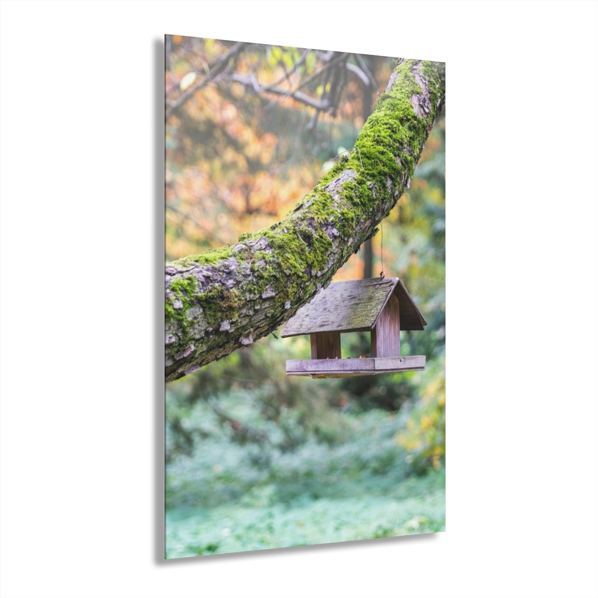 Tree House Premium Acrylic Wall Art