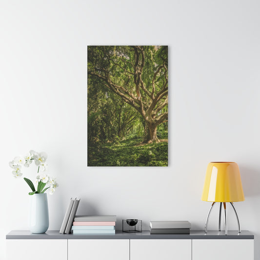 Bush Tree Premium Acrylic Wall Art