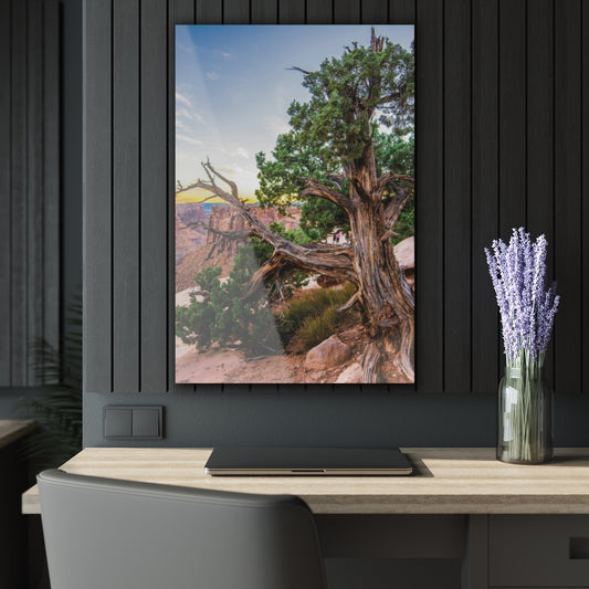 Strong Roots Premium Acrylic Wall Art