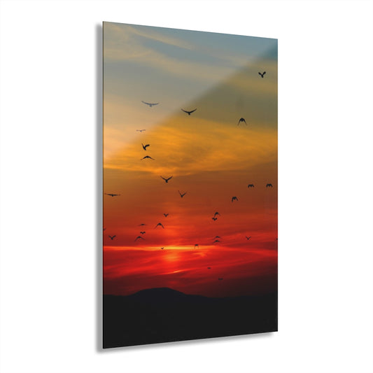 Elegant Sunset Premium Acrylic Wall Art