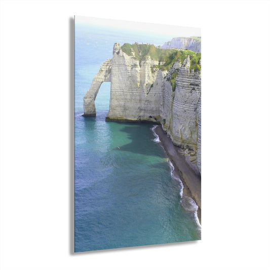 Jump Spot Premium Acrylic Wall Art