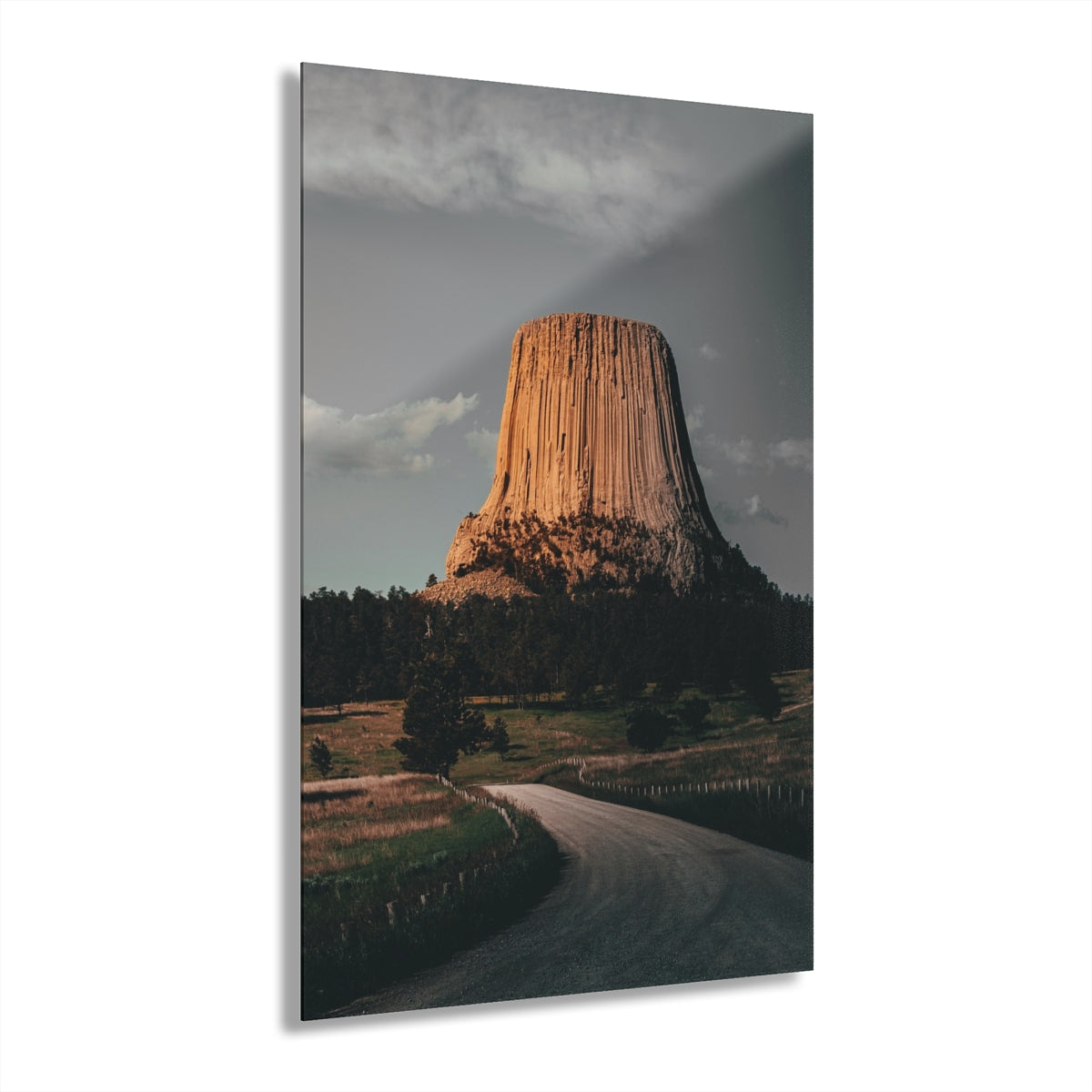 The Cut Way Premium Acrylic Wall Art