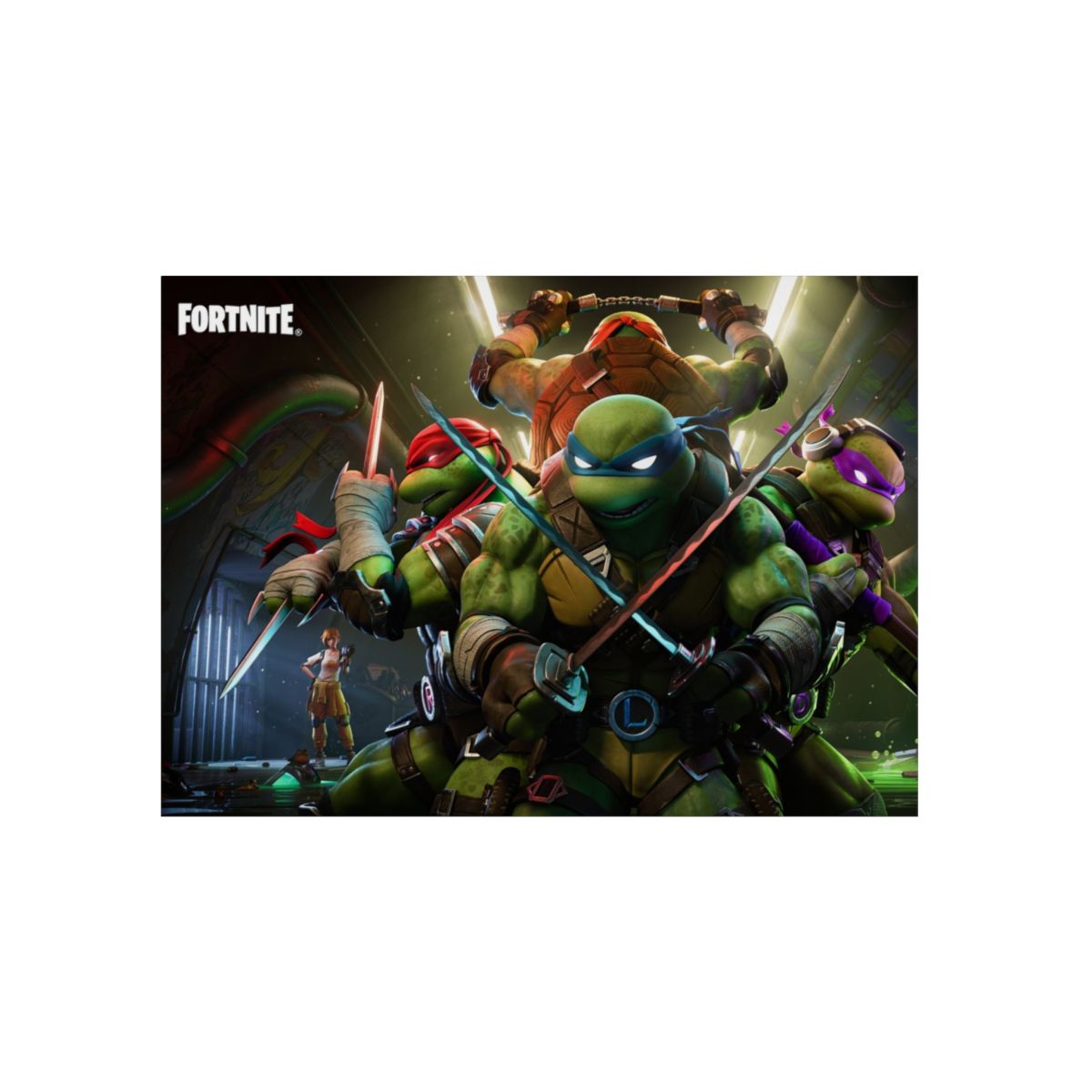 Ninjas 4K Aluminium Composite Wall Art