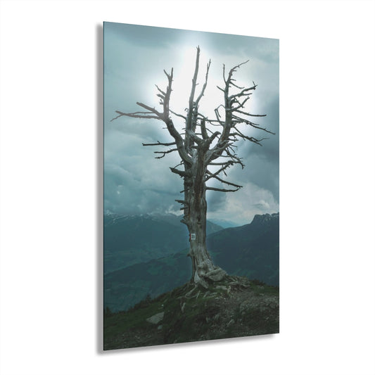 Lone Tree Premium Acrylic Wall Art