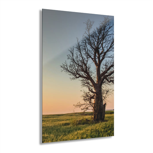 Growth Tree Premium Acrylic Wall Art