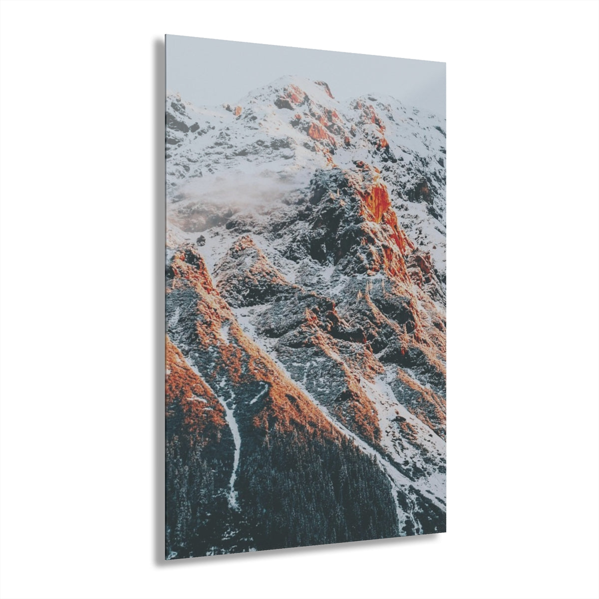 Kalahari Premium Acrylic Wall Art