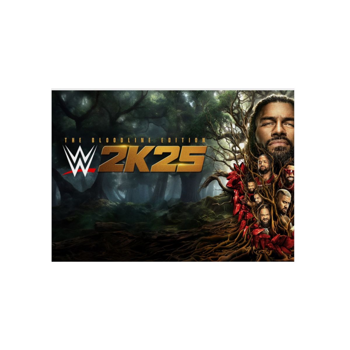 2K25 4K Aluminium Composite Wall Art