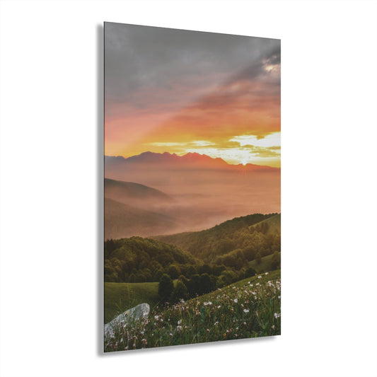 Absolute View Premium Acrylic Wall Art