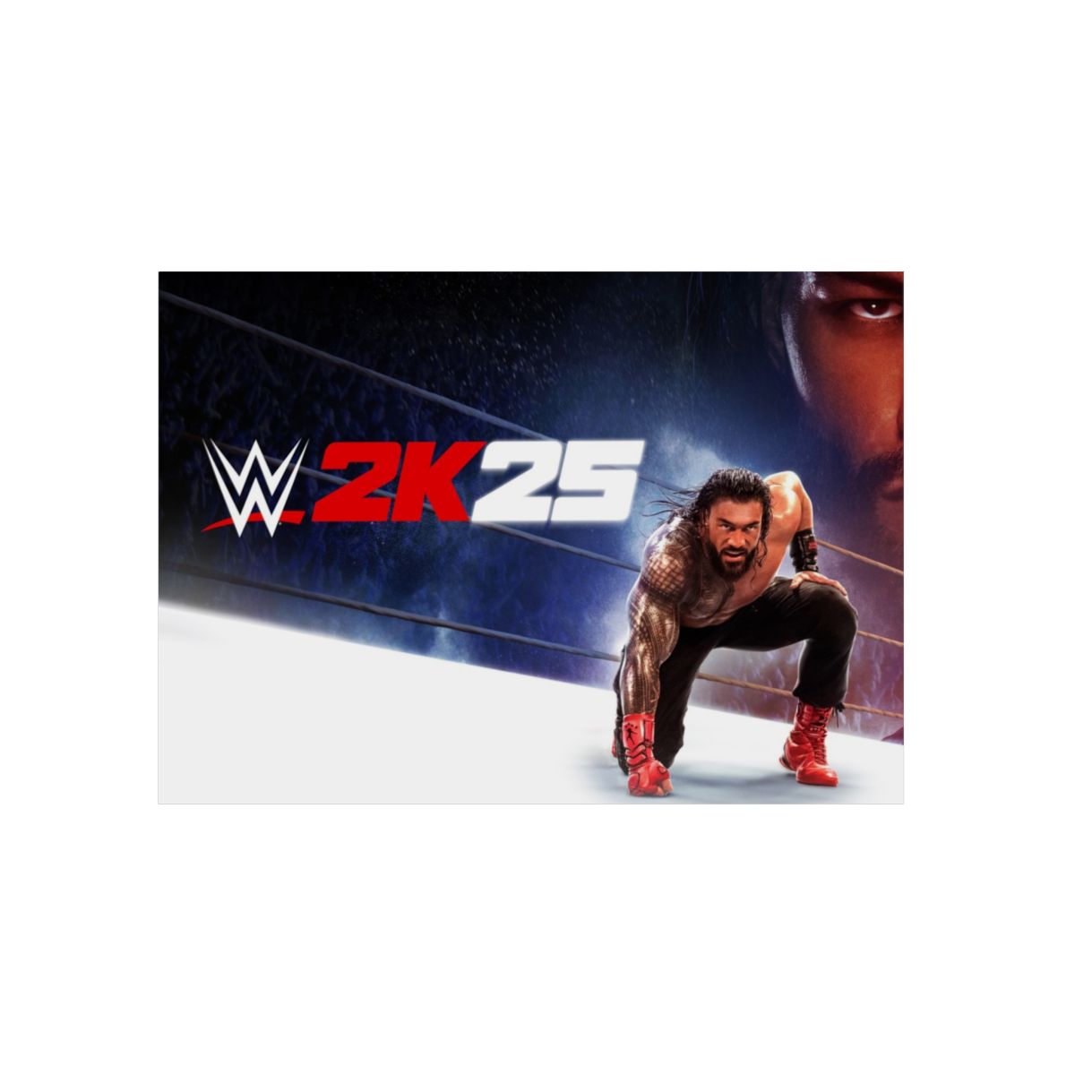 WWE 4K Aluminium Composite Wall Art