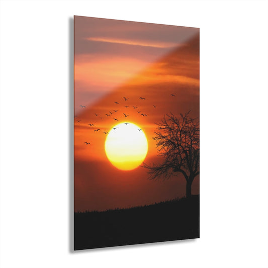 Sun Is Shining Premium Acrylic Wall Art