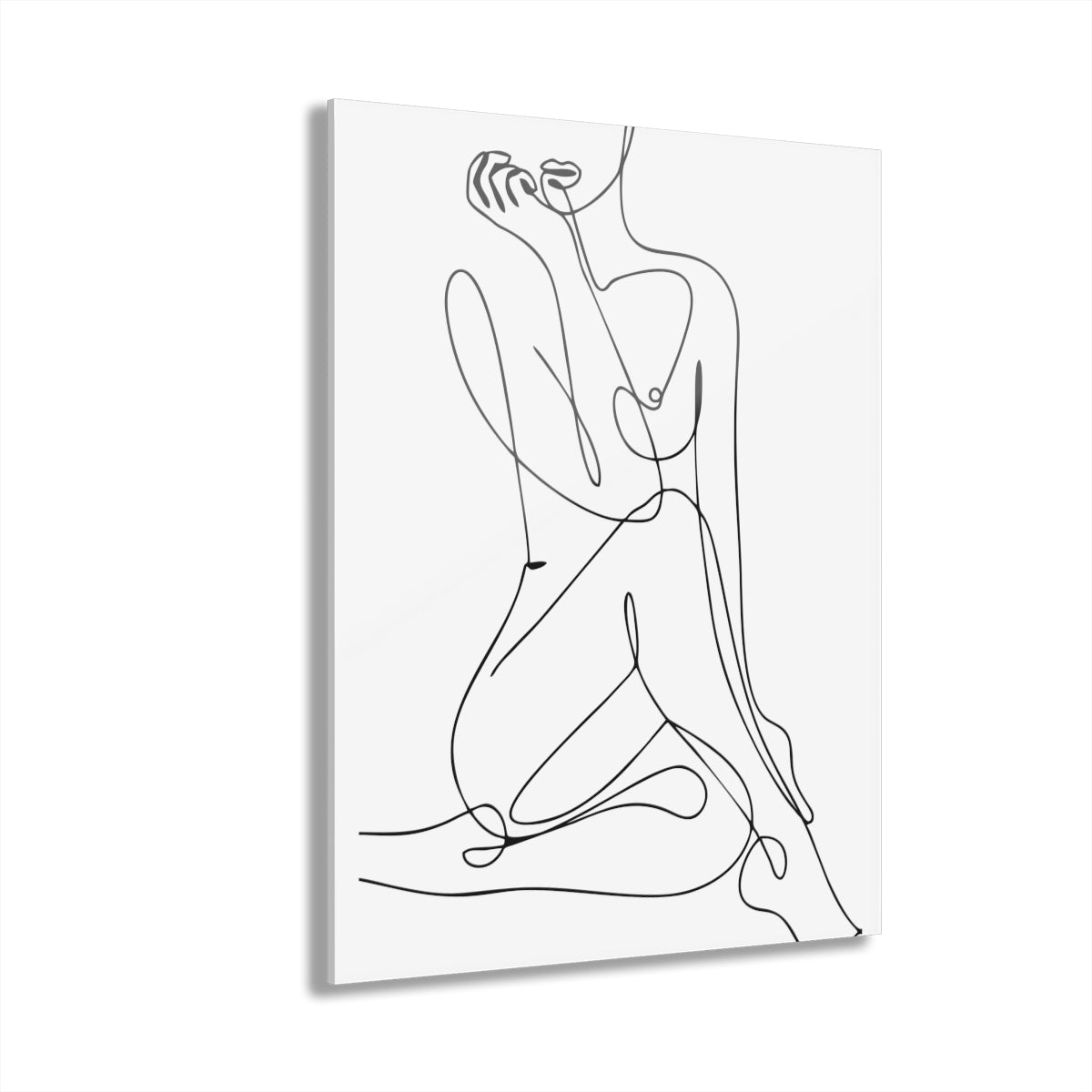 2293 Line Art Premium Acrylic Wall Art