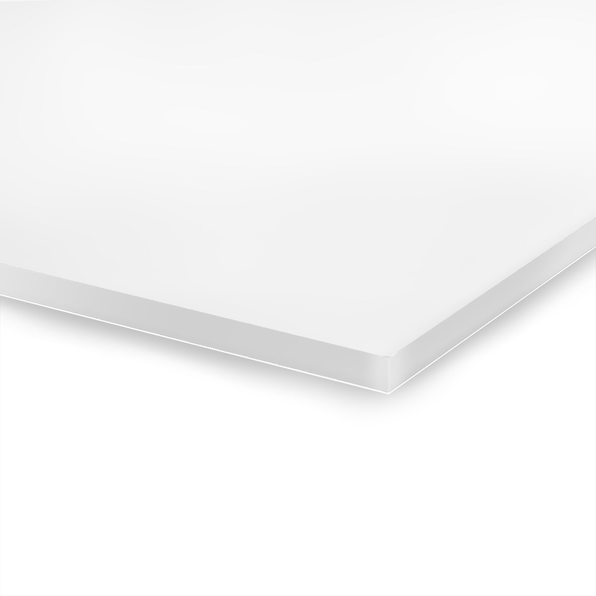Long Neck Premium Acrylic Wall Art
