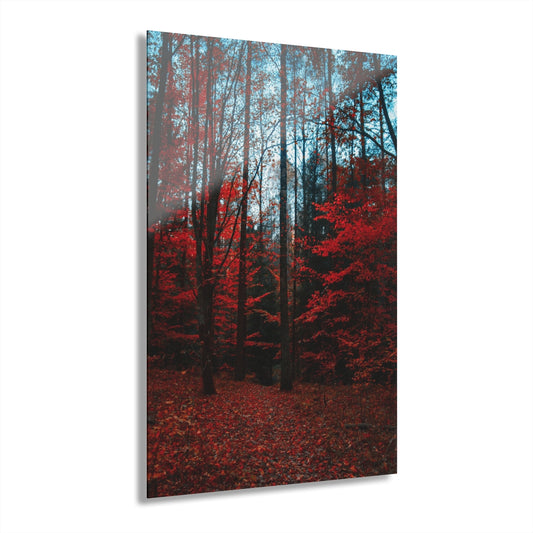 Bright Forest Premium Acrylic Wall Art