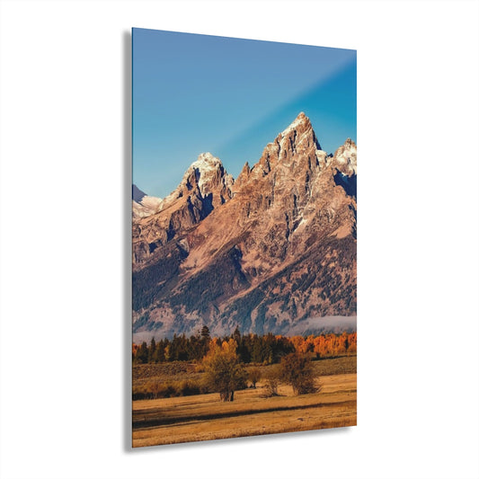 Clear Nature Premium Acrylic Wall Art