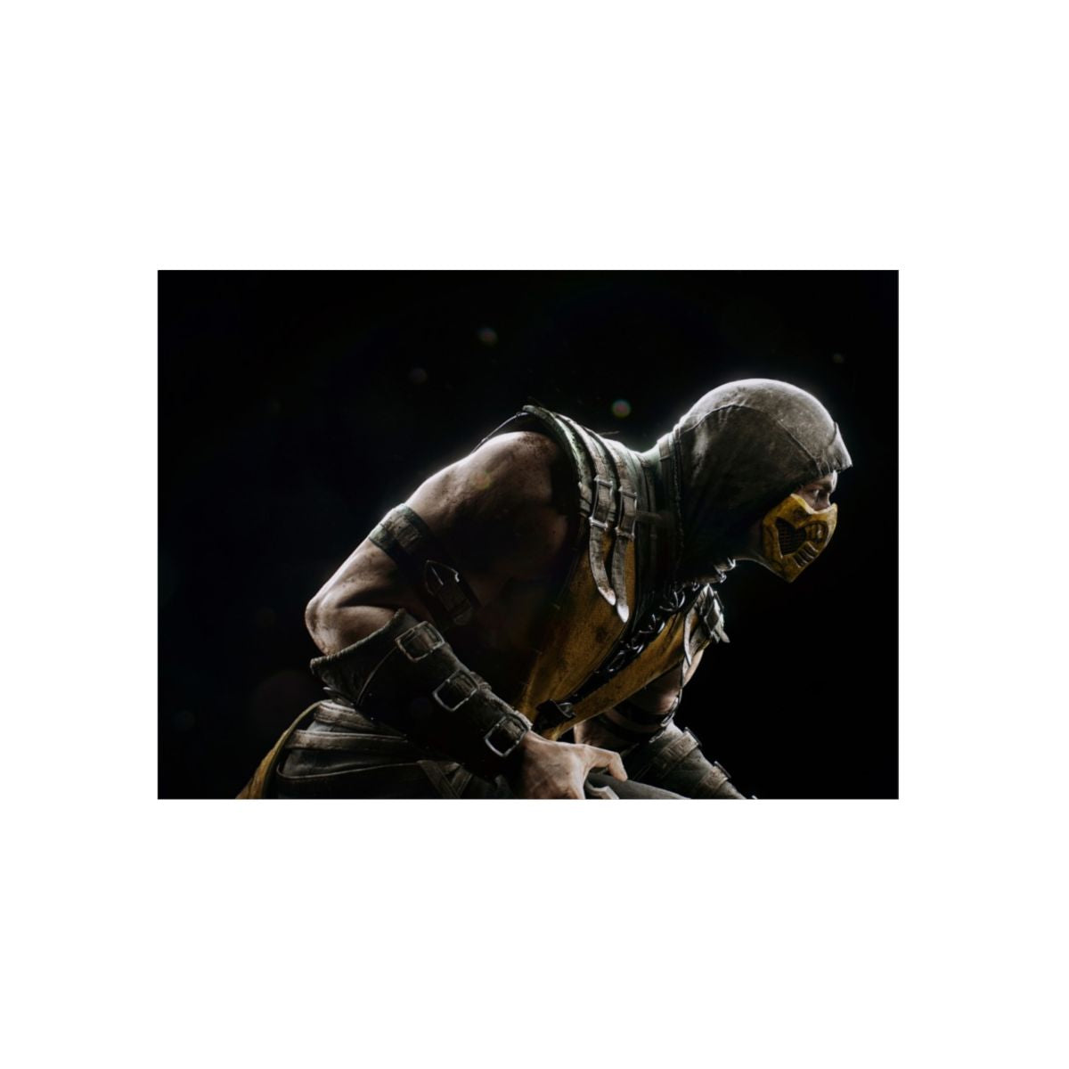Scorpion Aluminium Composite Wall Art