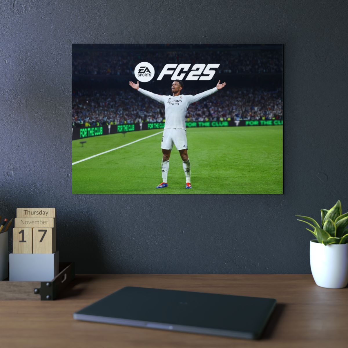 FC 2025 4K Aluminium Composite Wall Art