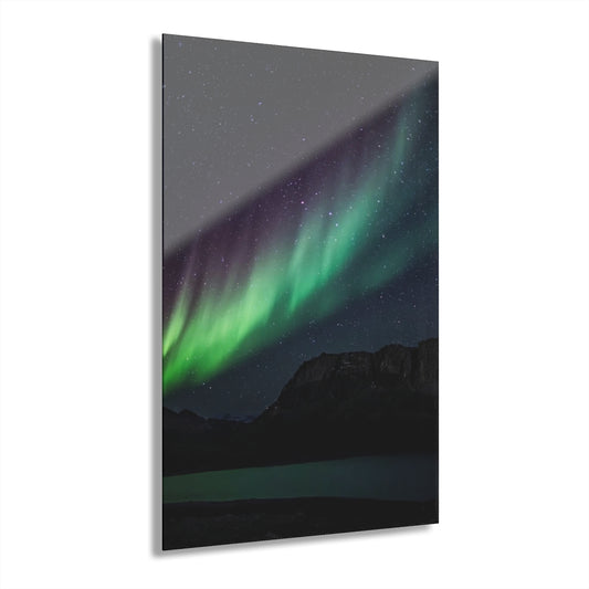 Spiral Premium Acrylic Wall Art