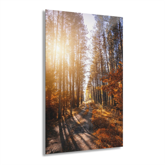Clearview Premium Acrylic Wall Art