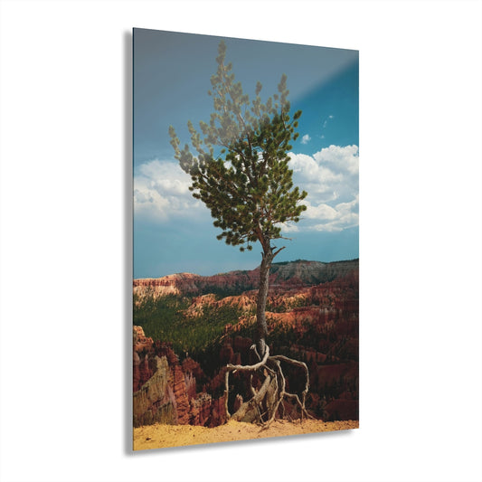 Roots Premium Acrylic Wall Art