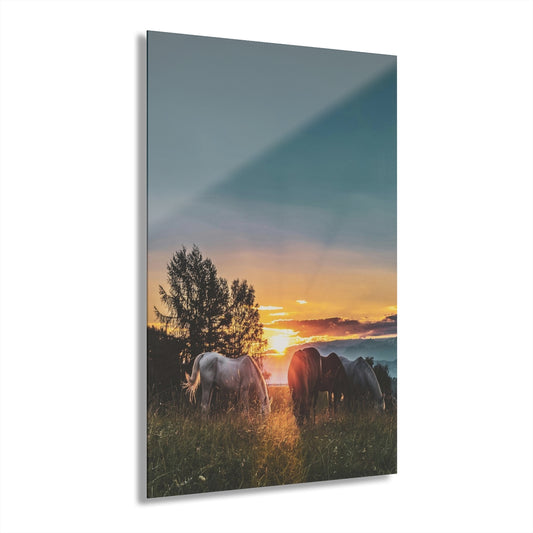 West Sunset Premium Acrylic Wall Art