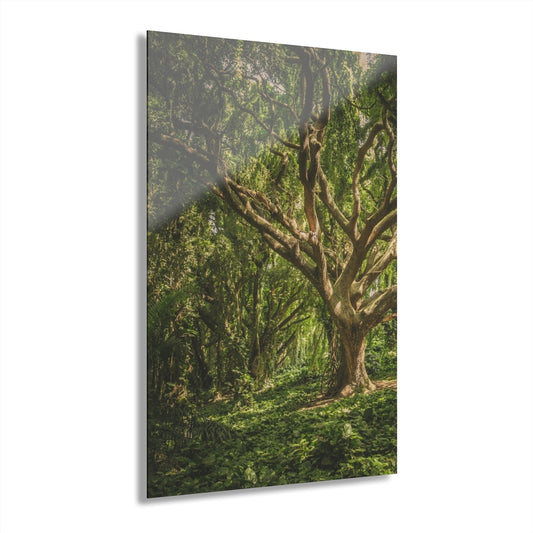 Bush Tree Premium Acrylic Wall Art