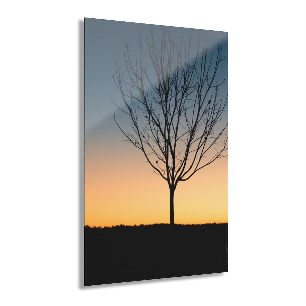 Surviving Tree Premium Acrylic Wall Art