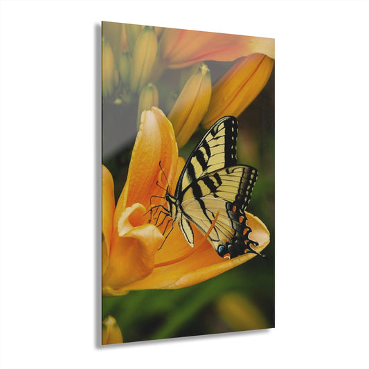 Yellow Premium Acrylic Wall Art
