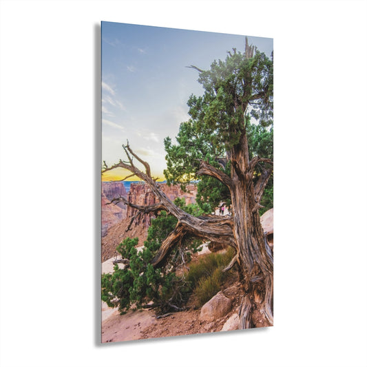 Strong Roots Premium Acrylic Wall Art