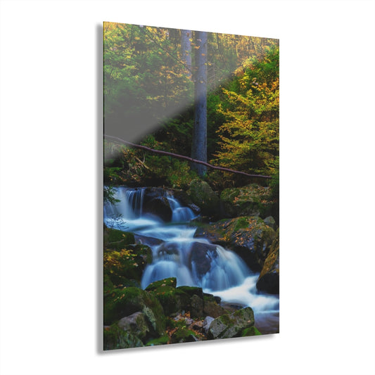 River Flow Premium Acrylic Wall Art