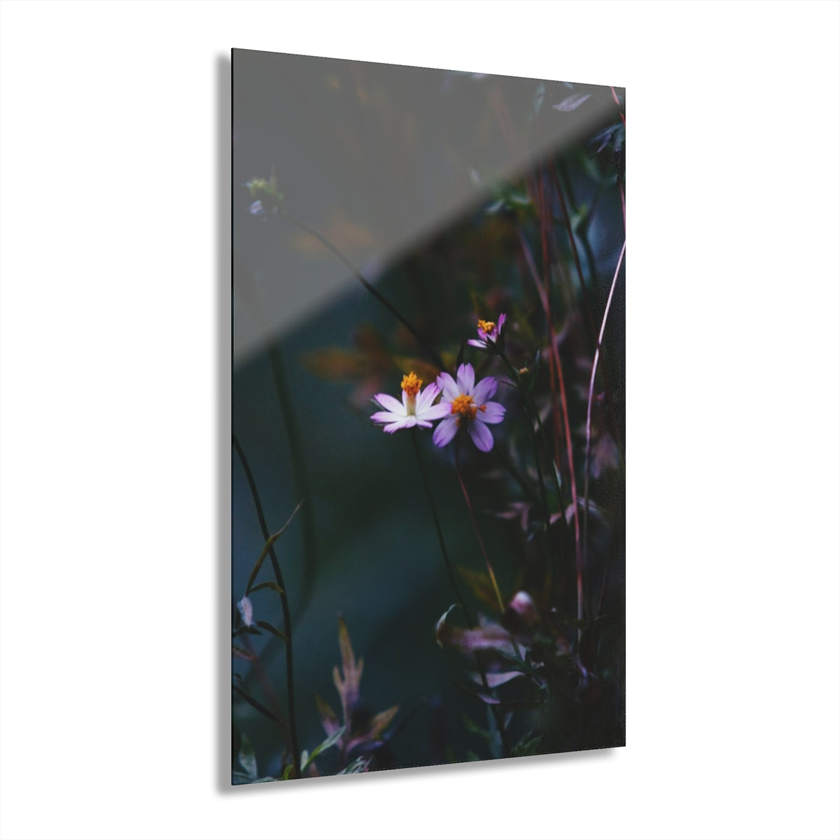 Bloom Premium Acrylic Wall Art